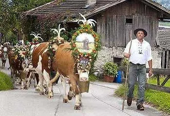 Jaeger Zillertal 3*