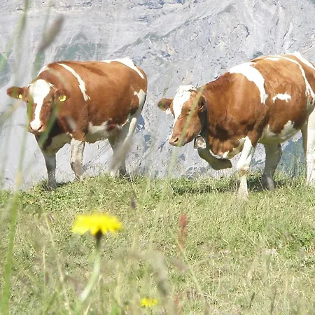 Hotel Jaeger Zillertal 3*